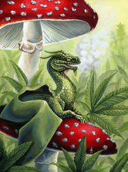 Green Dragon by wailingwizard