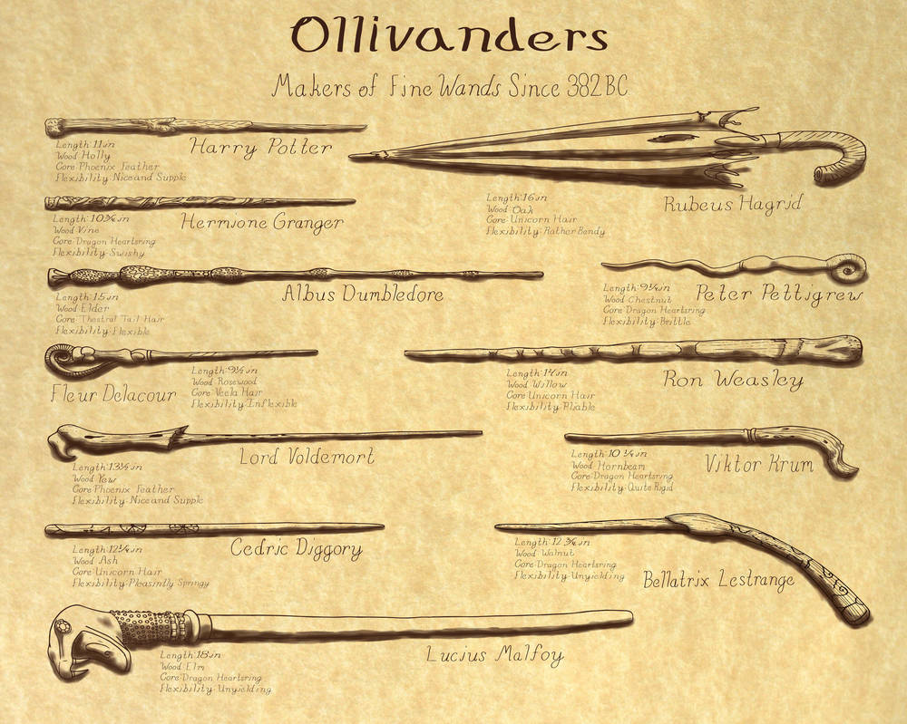 Harry Potter Wand Taxonomy by MysteriousHat21 on DeviantArt