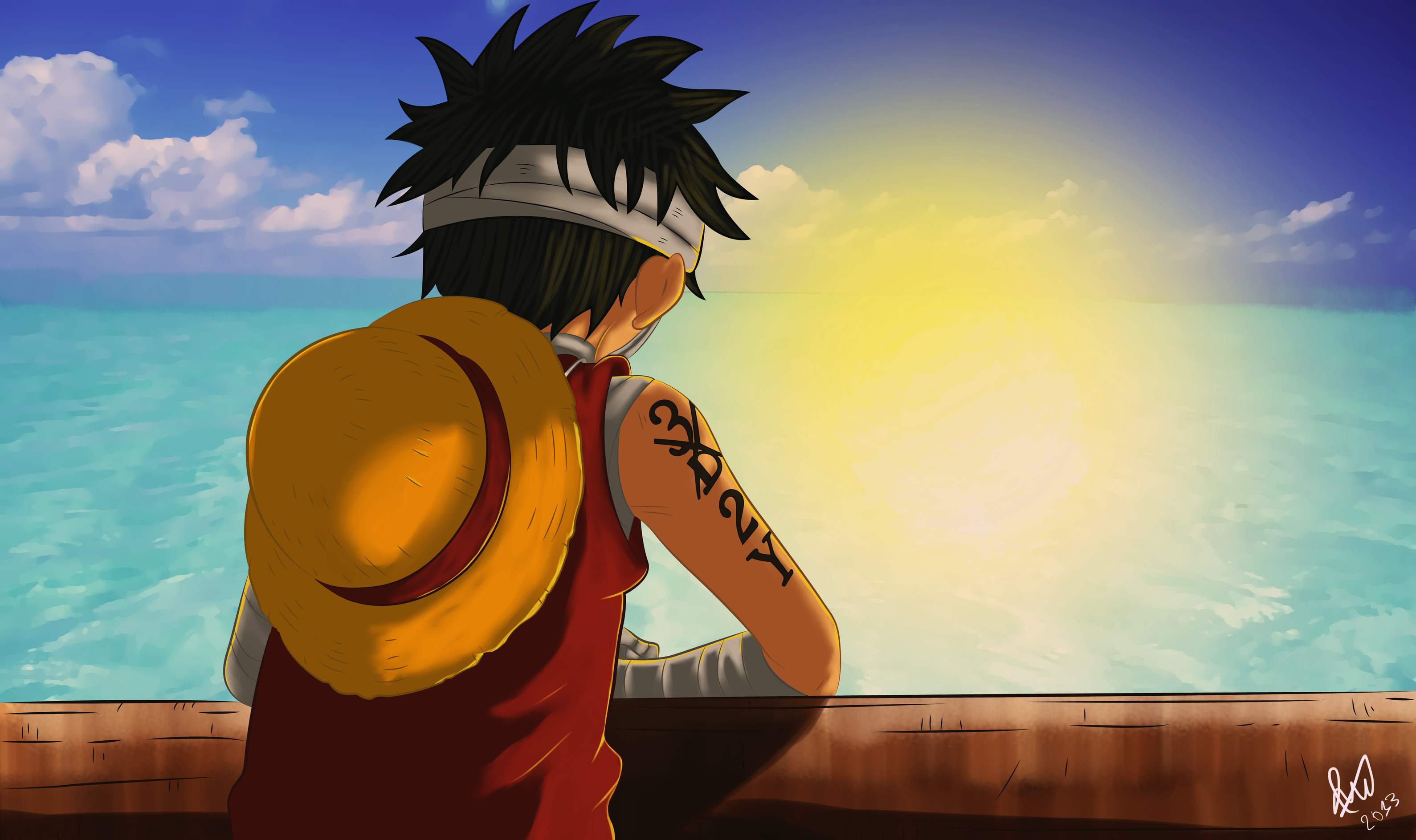the 3d2y one piece the 3d2y one piece
