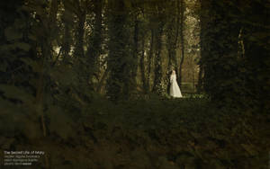 The Secret Life of Mary V by SlevinAaron