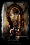 rise of the black guardian by vileation