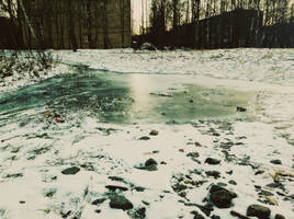 Frozen Beauty by Kikyu12