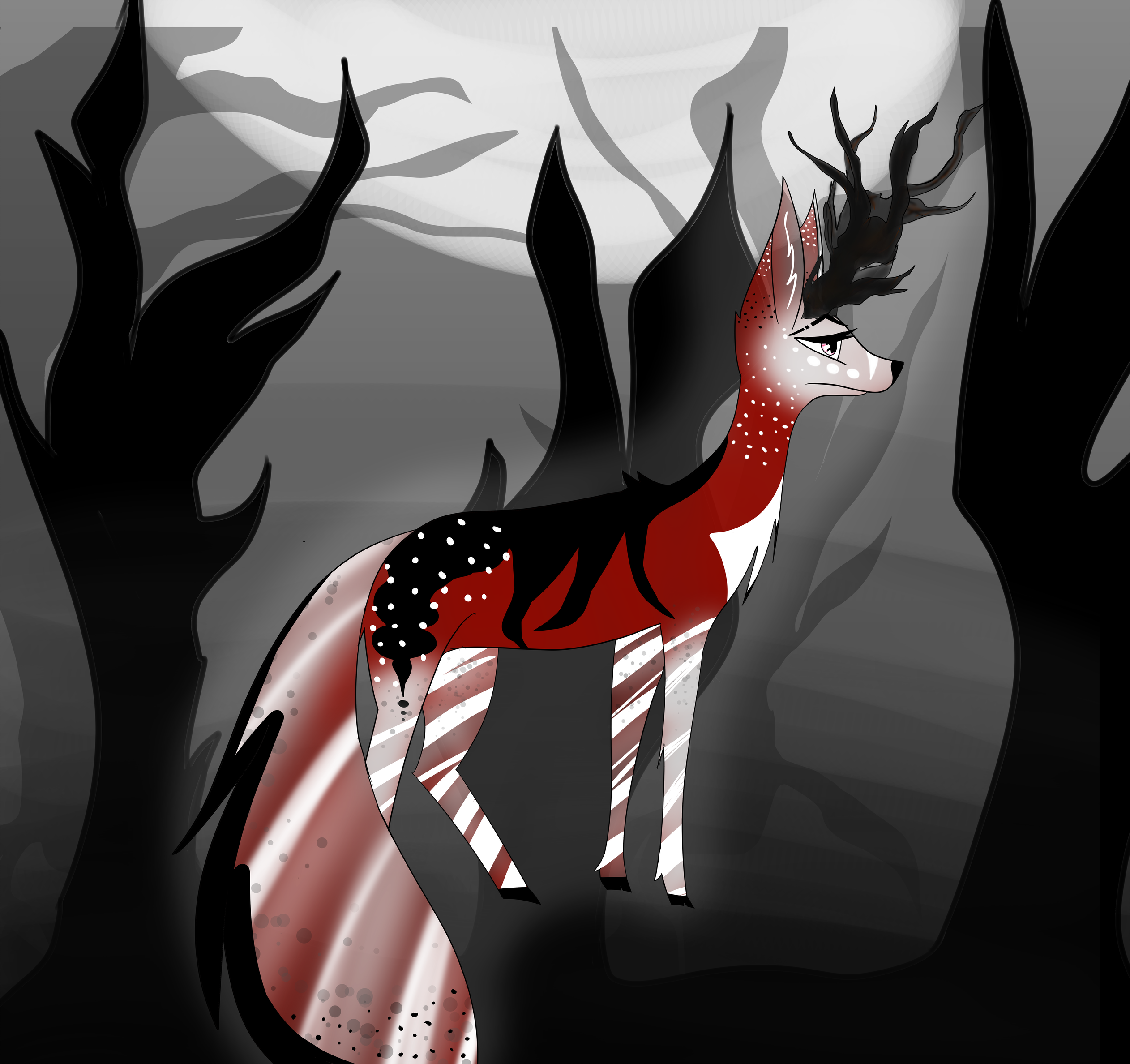 a shadow and ember a shadow and ember
