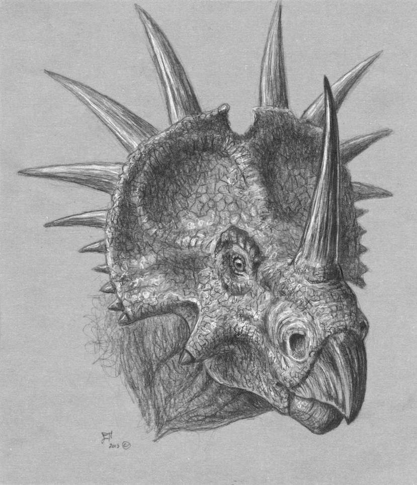 Download Styracosaurus by EsthervanHulsen on DeviantArt