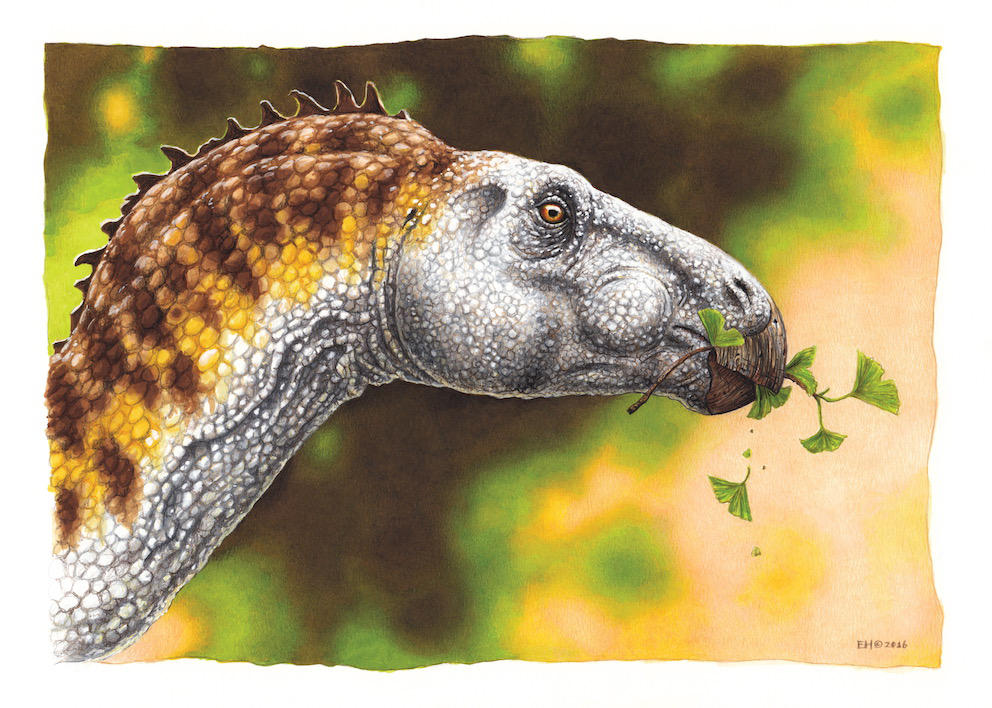 hadrosaur skin