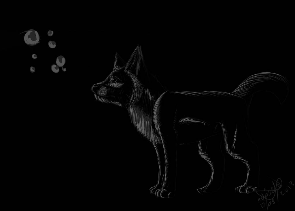 Black N White Wolf Wallpaper By Ivy Petal On Deviantart Black N White Wolf Wallpaper By