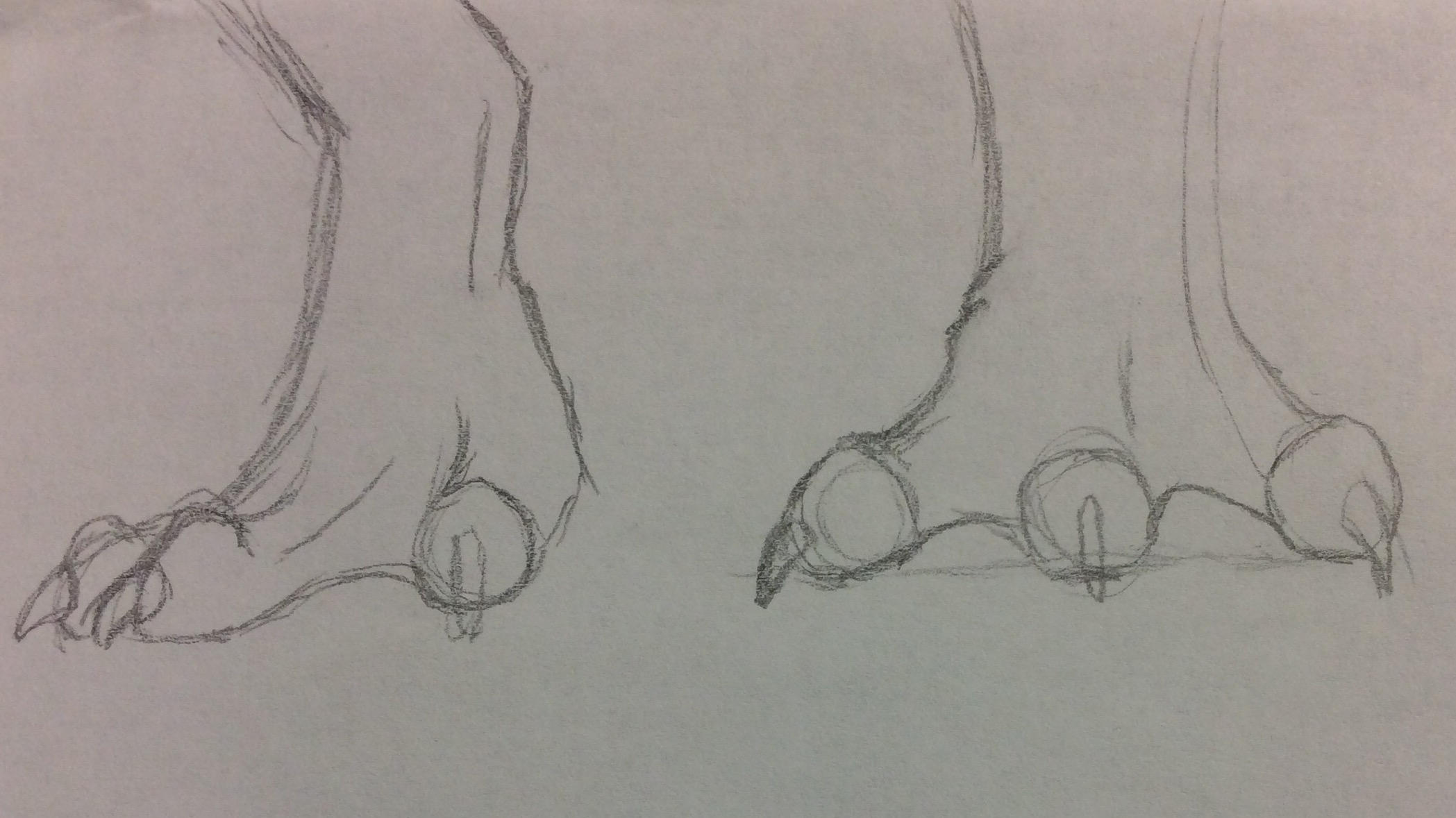 Dragon Feet practice by Bestestcat