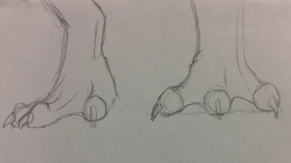 Dragon Feet practice by Bestestcat