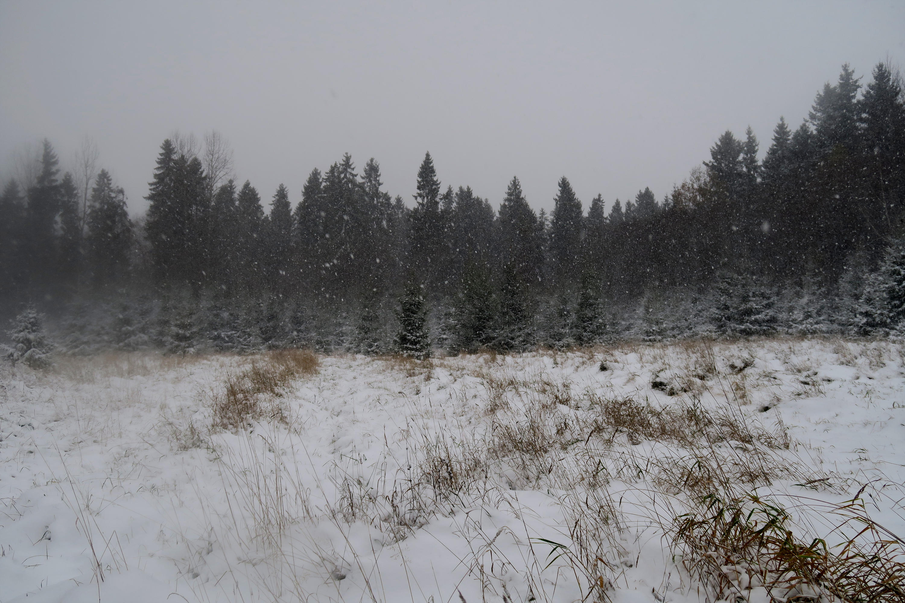 Winter 101 by MASYON