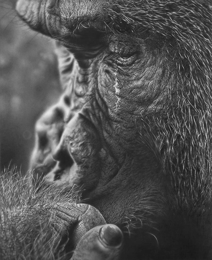 Subject #7 by MalcolmShortt