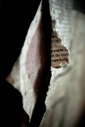 Papier by chauz