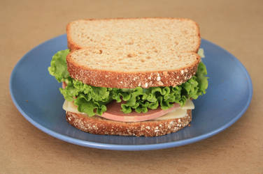 Liverwurst Sandwich by skimlines