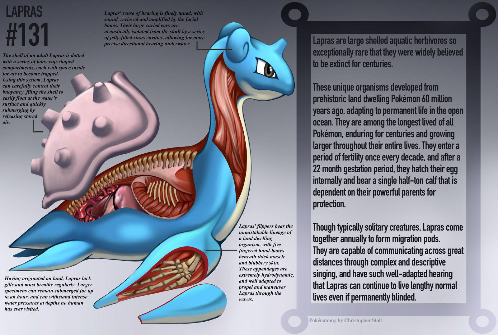 Lapras Anatomy- Pokedex Entry by Christopher-Stoll