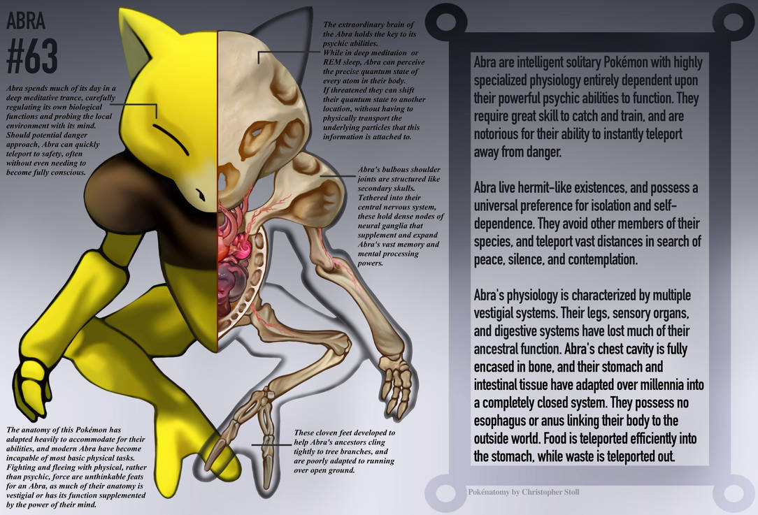 Abra Anatomy- Pokedex Entry by Christopher-Stoll