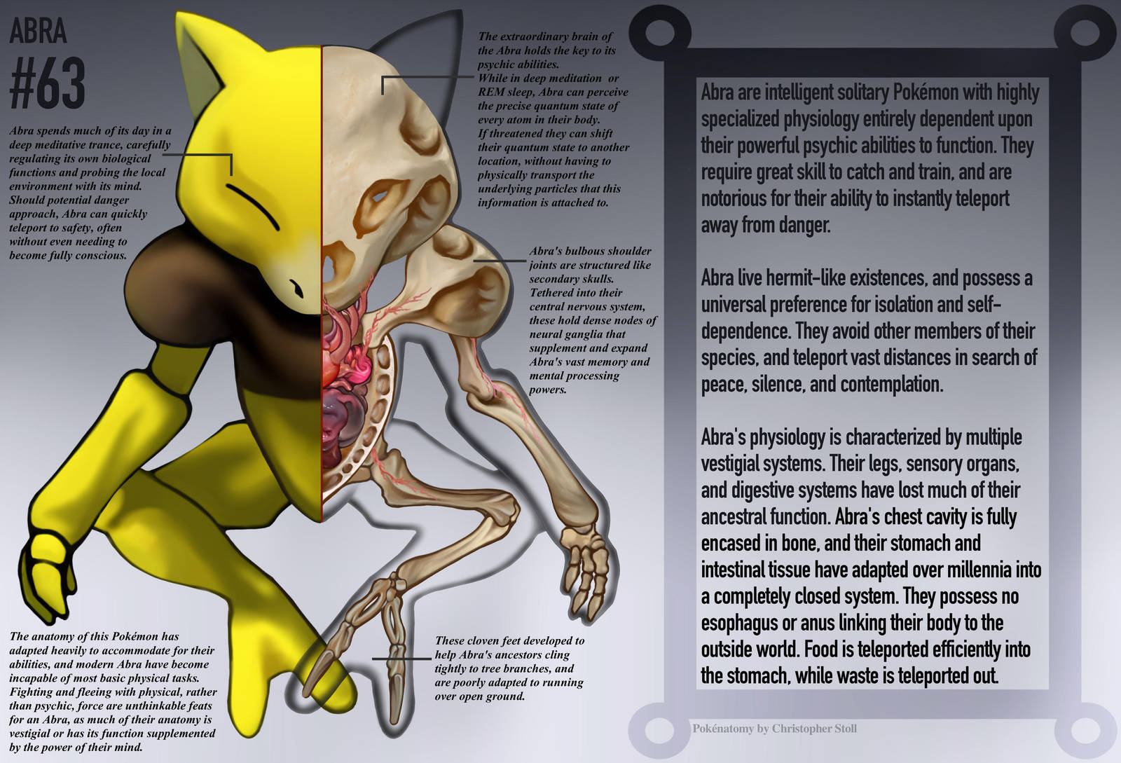 Abra Anatomy- Pokedex Entry by Christopher-Stoll
