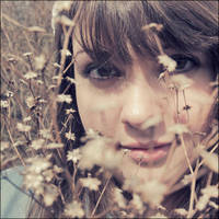 the meadow, the smile by orbatid