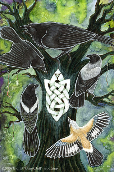 Corvidae by Illahie