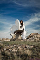 Watching the world from afar by etaru