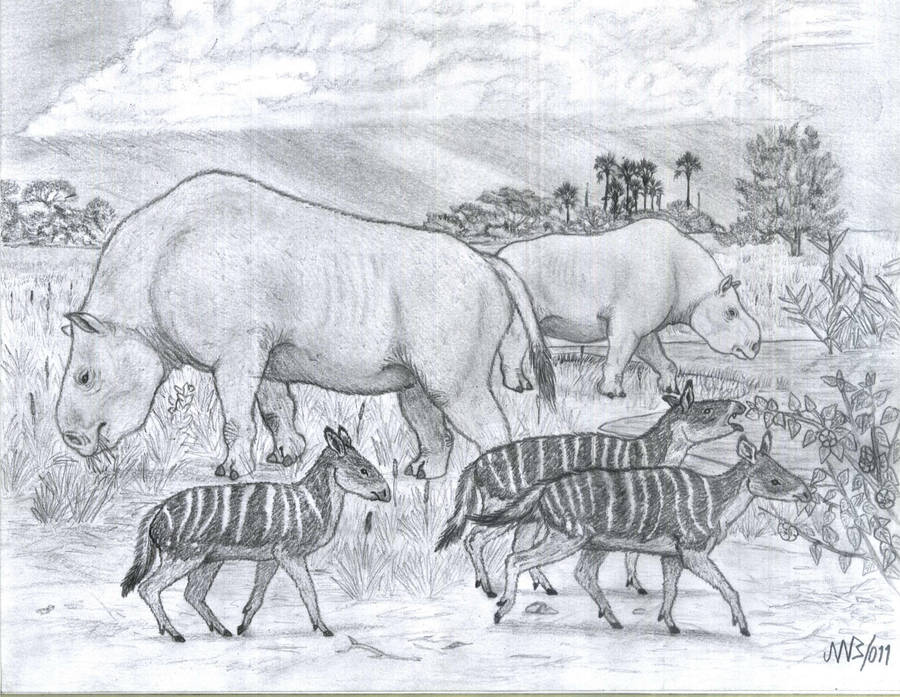 Two herbivores from Miocene South America (2011). by jwmorenob