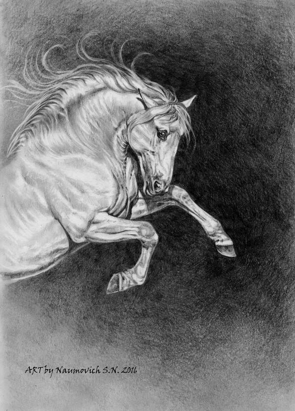 wind in his hair by Animal75Artist