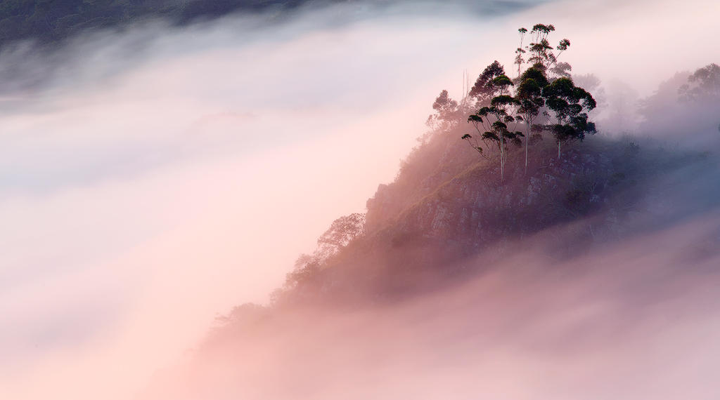 Misty Morning by carlosthe