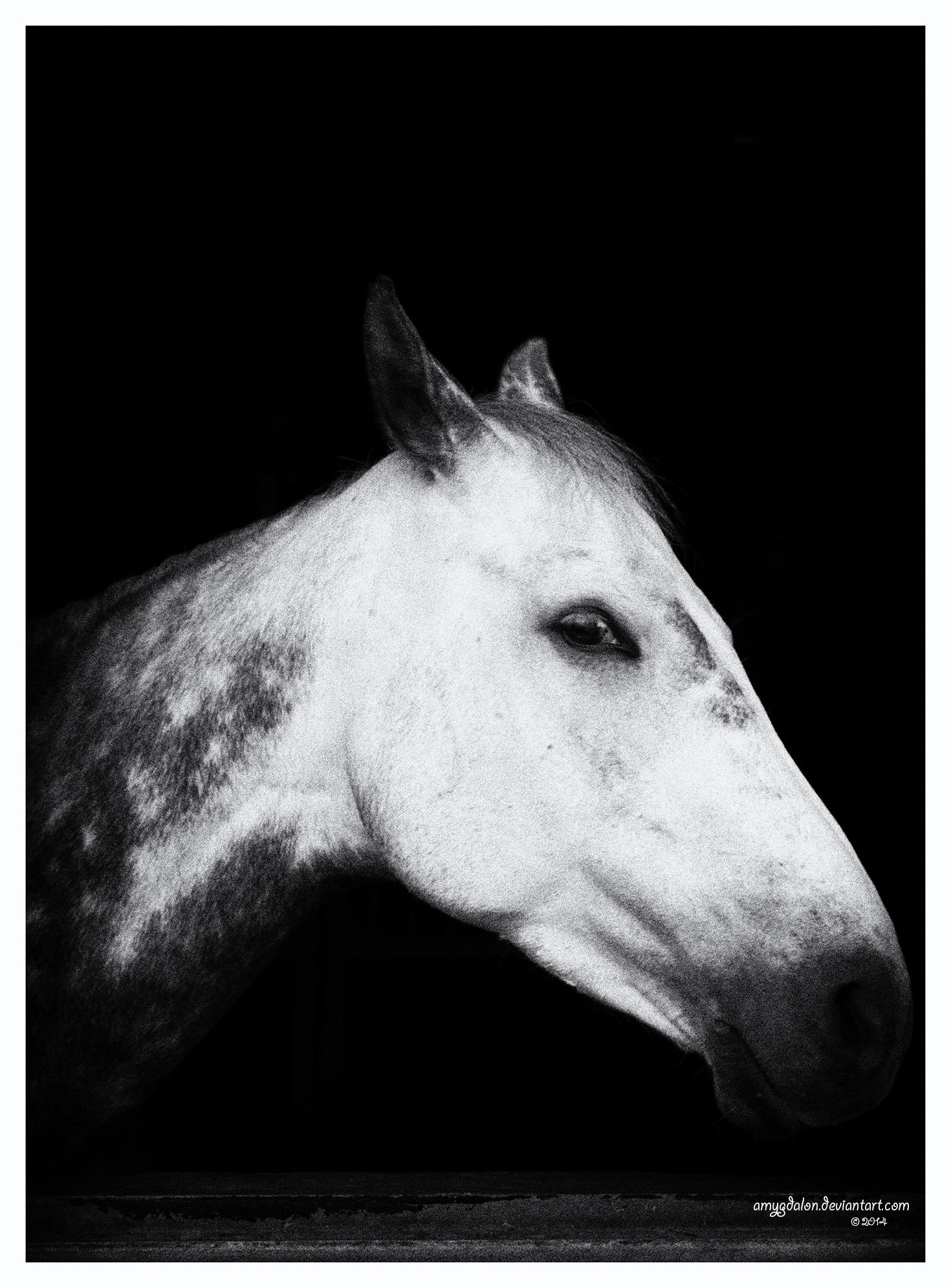 .: just another portrait :. by amygdalon