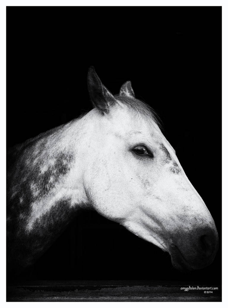 .: just another portrait :. by amygdalon