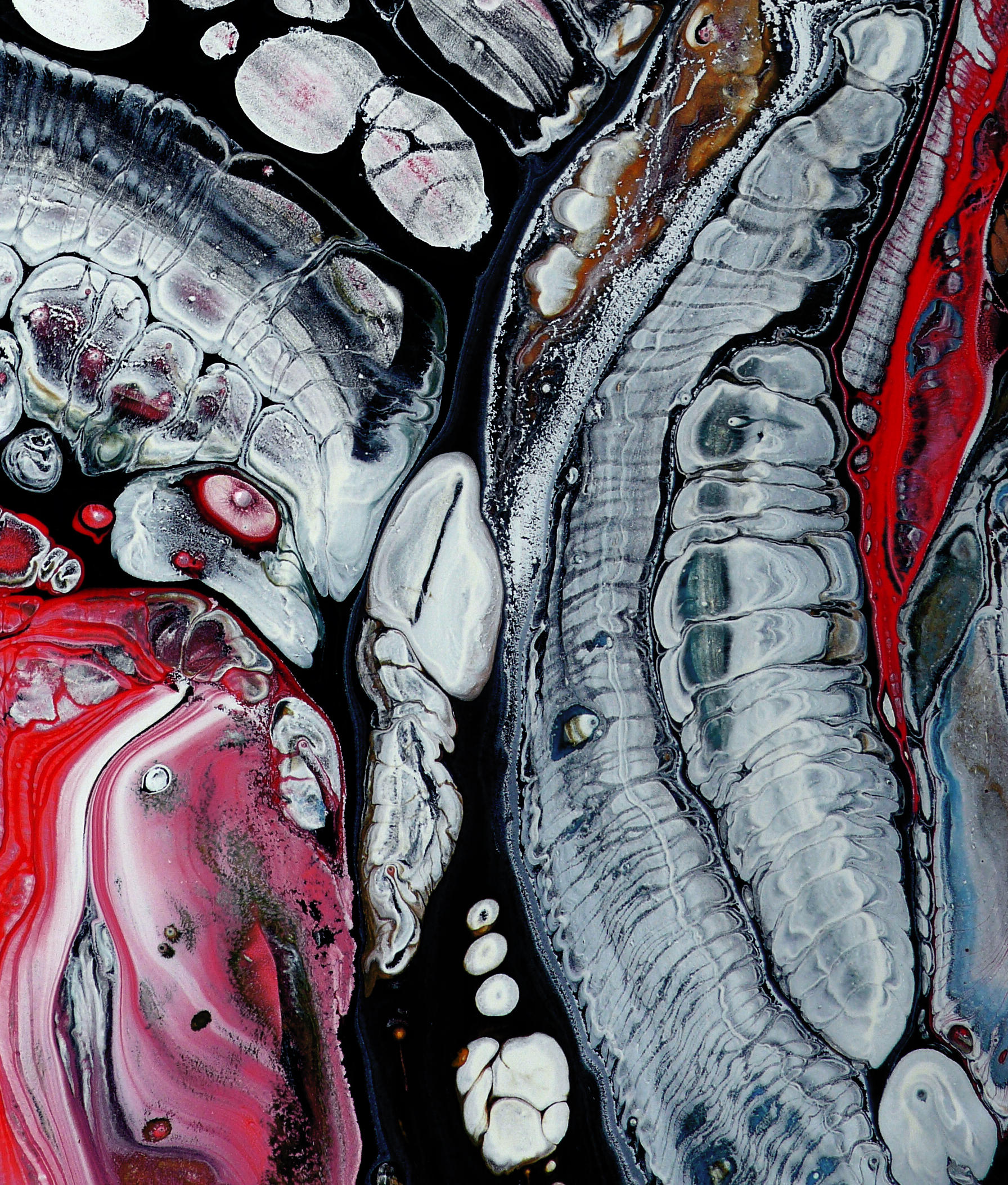 w-out 0116  sideway disclose 