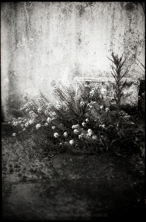 sin titulo by elultimodeseo