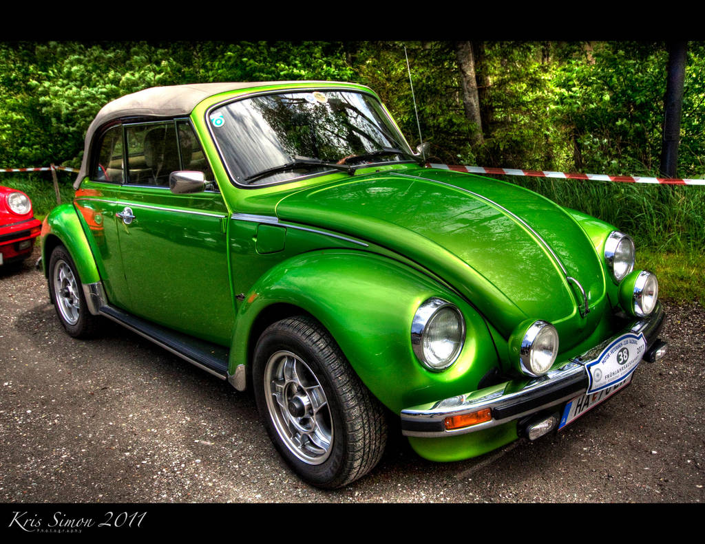 Frog or beetle? by KrisSimon
