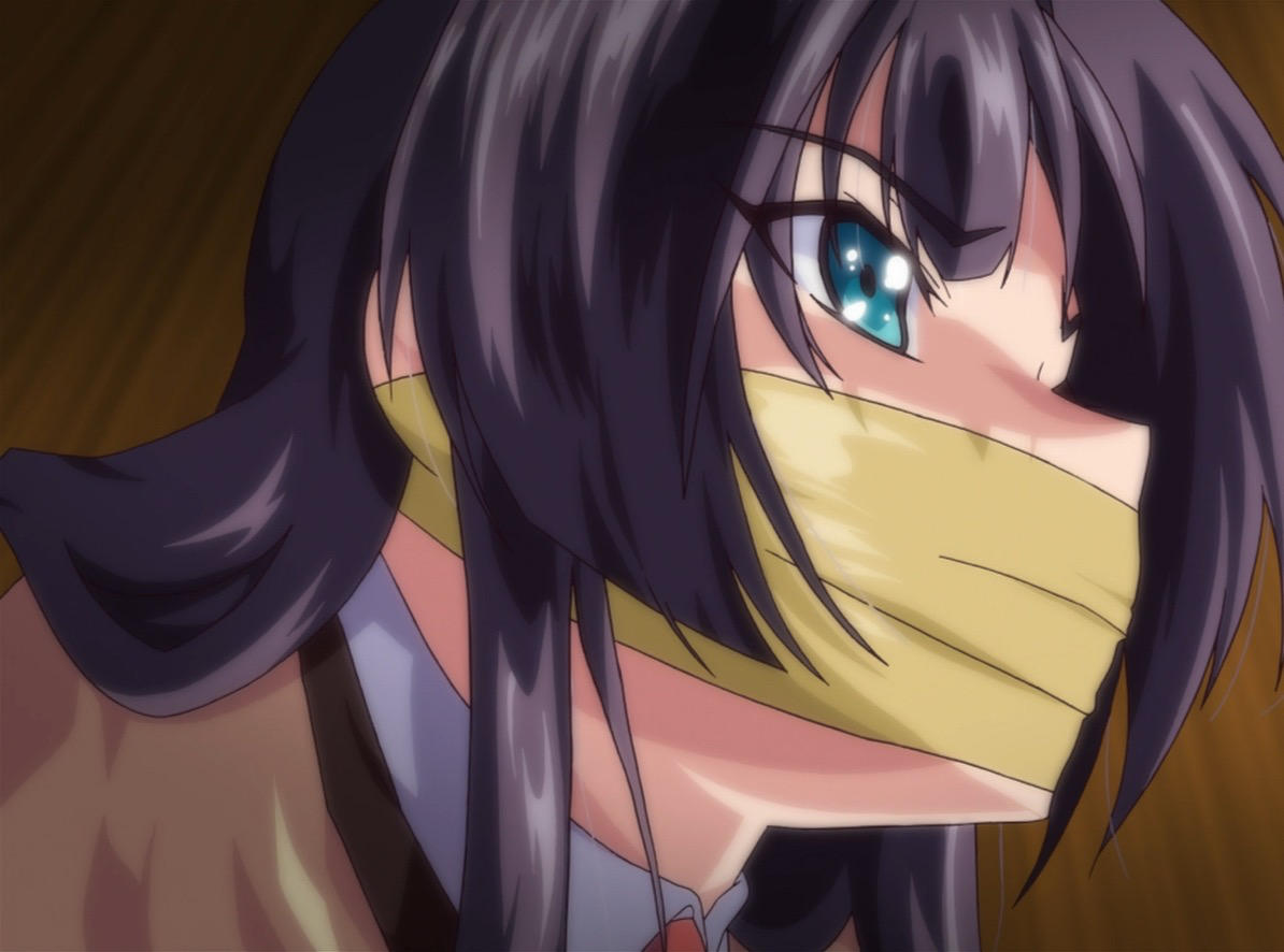 Tokubetsu Jugyou 3Slg The Animation