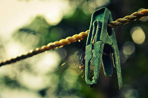 still no old enough by dustut