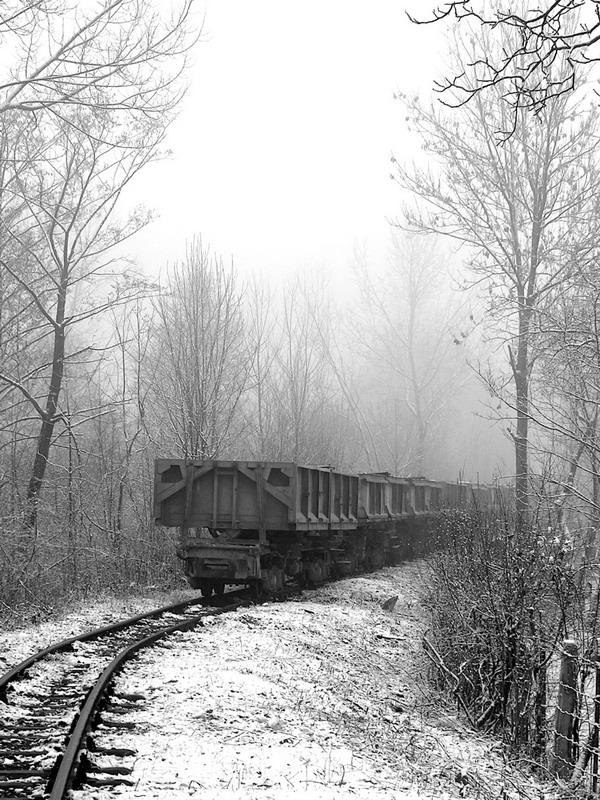 The Journey by Alexandru1988