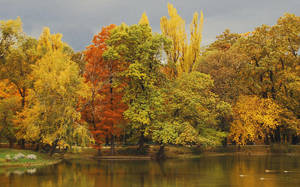 A Walk To Remember by Alexandru1988