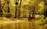 Green Peace by Alexandru1988