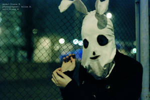 hurricane_rabbit by DianaJaneDoe