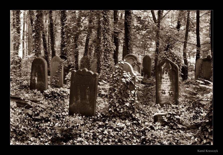 cemetery_1 by troyek