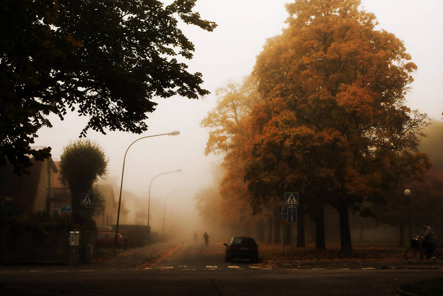 LastFall by Silverholm