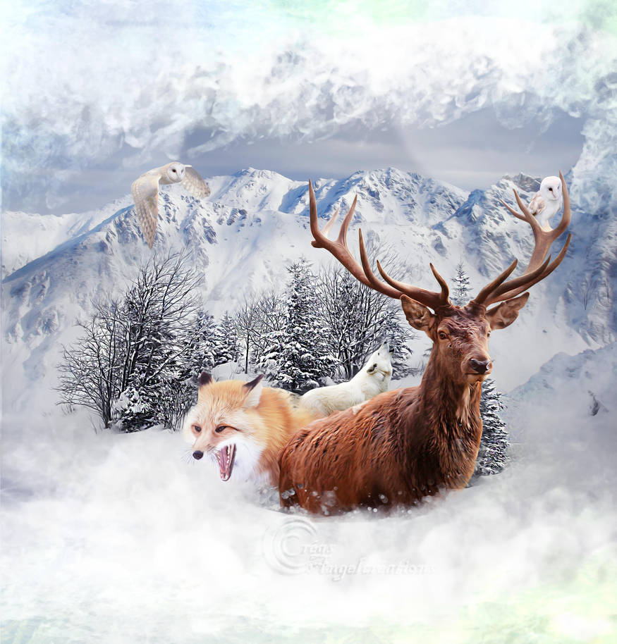 Winter by Angel-Creations95 Winter by Angel-Creations95