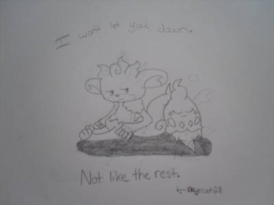 I won't let you down, by skyecat28