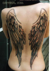 angel wings tattoo by cannibol