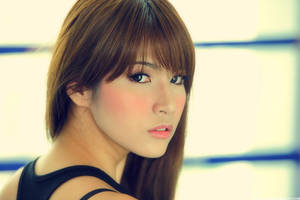 MillionDollarBaby05 by Echohowdy