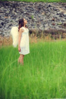 Angel01 by Echohowdy