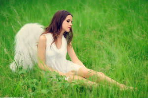 Angel04 by Echohowdy