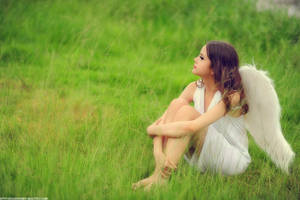 Angel09 by Echohowdy