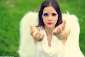 Angel11 by Echohowdy