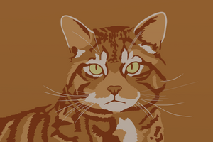 Scottish Wildcat Wallpaper by GDTrekkie Scottish Wildcat Wallpaper by GDTrekkie