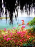 Dominican Republic by prisuko