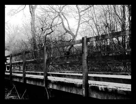 I'm lonely now you're gone by Kitty-Taylor