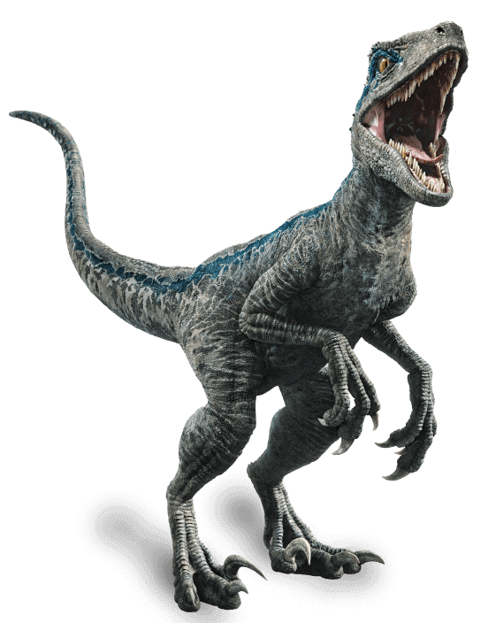 velociraptor kingdom